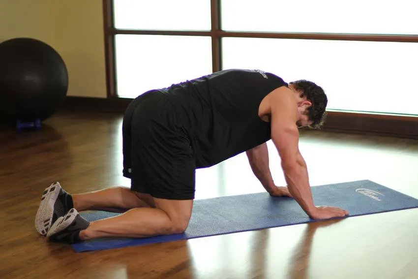 All Fours Quad Stretch exercise