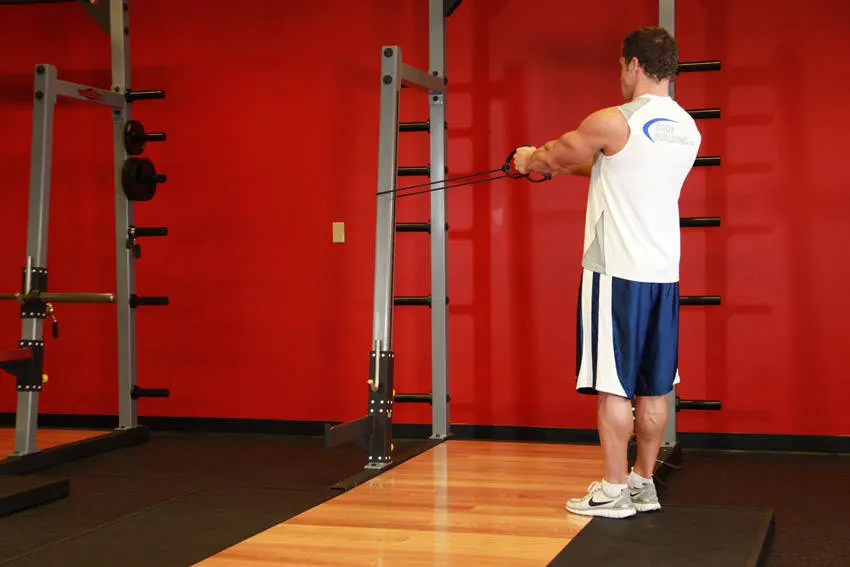Back Flyes - With Bands exercise