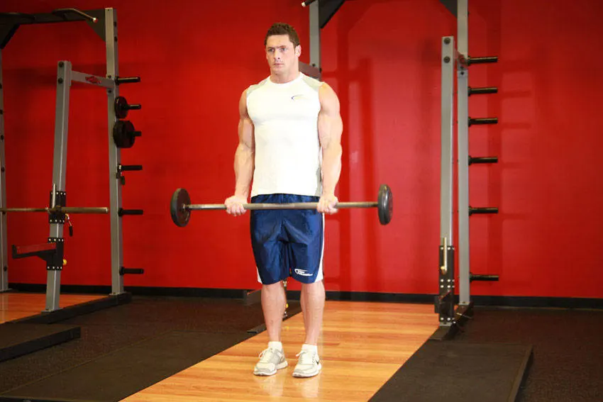 Barbell Curl exercise