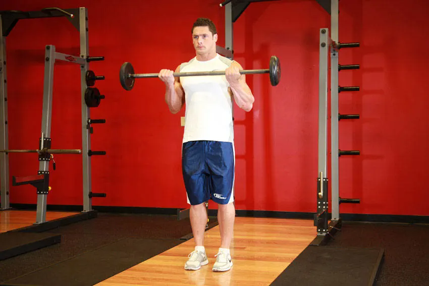 Barbell Curl — end position