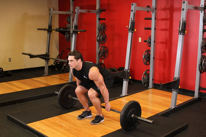 Barbell Hack Squat exercise