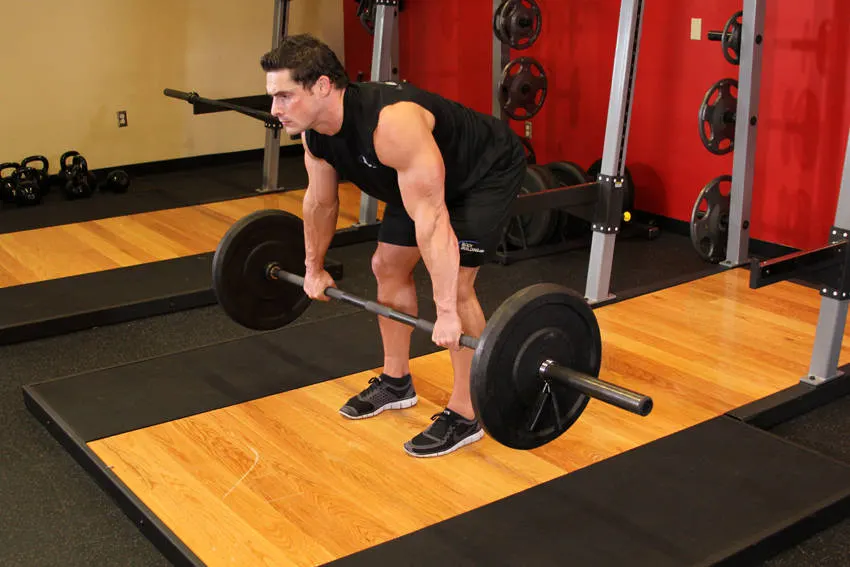 Barbell Rear Delt Row exercise