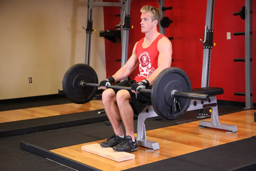 Barbell Seated Calf Raise exercise