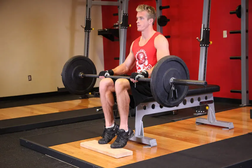 Barbell Seated Calf Raise — end position