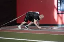 Bear Crawl Sled Drags exercise