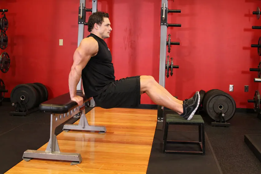 Bench Dips exercise