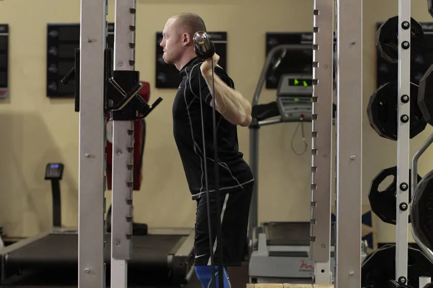 Box Squat with Bands exercise