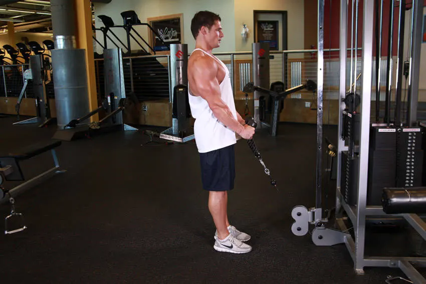 Cable Hammer Curls - Rope Attachment exercise