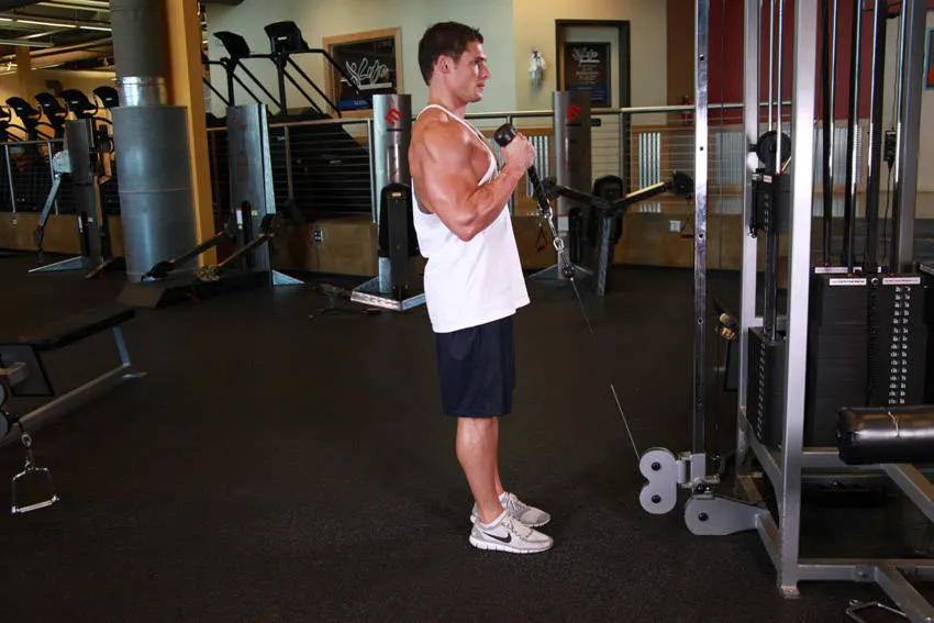 Cable Hammer Curls - Rope Attachment — end position