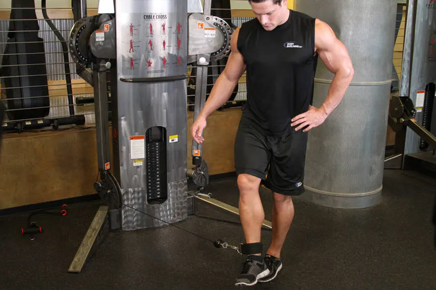 Cable Hip Adduction — end position