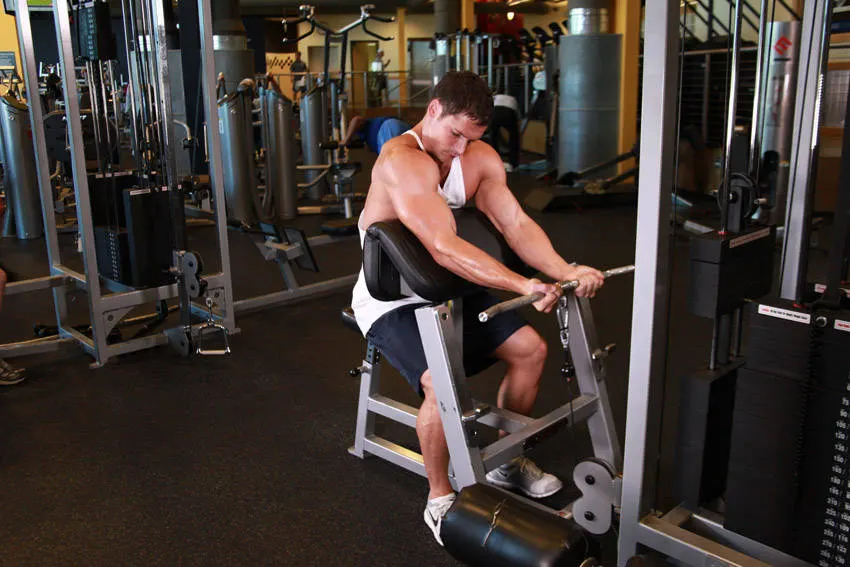 Cable Preacher Curl exercise