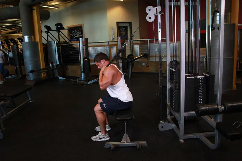 Cable Seated Crunch exercise