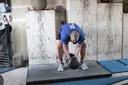Circus Bell exercise
