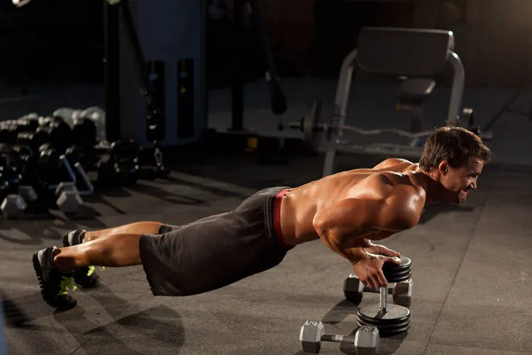 Close-Grip Push-Up off of a Dumbbell — end position