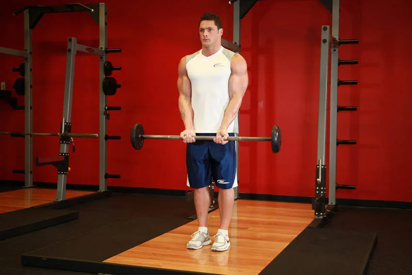 Close-Grip Standing Barbell Curl exercise