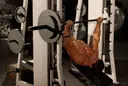 Decline Smith Press exercise