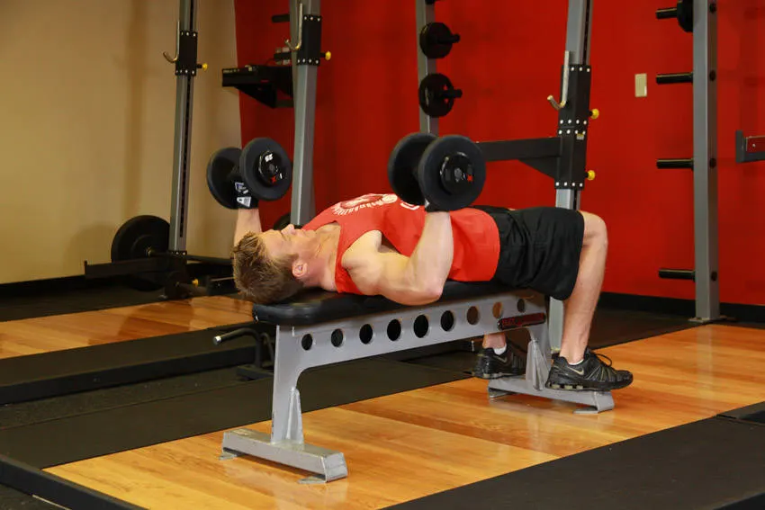 Dumbbell Bench Press exercise