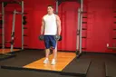 Dumbbell Bicep Curl exercise