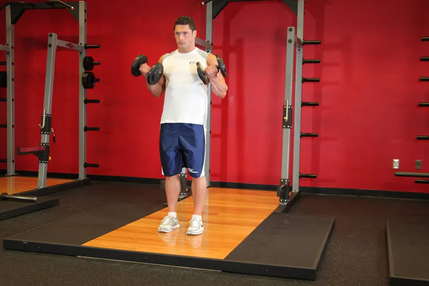 Dumbbell Bicep Curl — end position