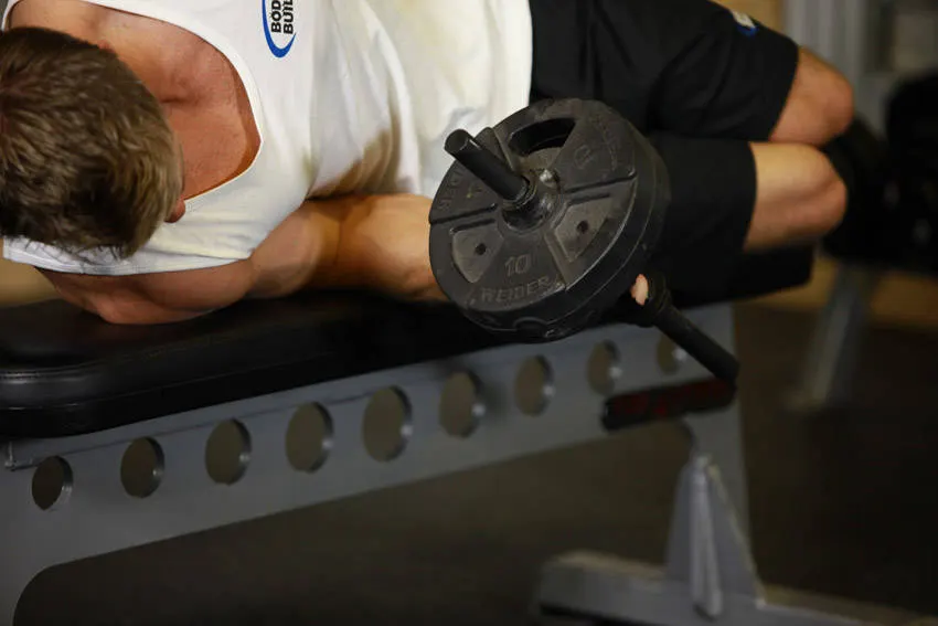 Dumbbell Lying Pronation — end position