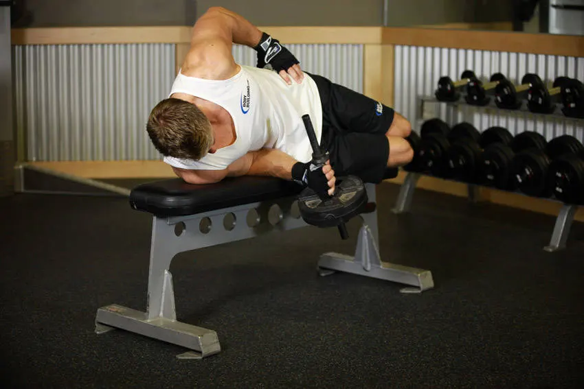 Dumbbell Lying Supination — end position