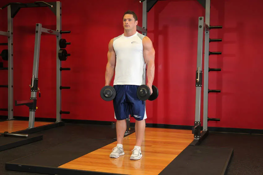Dumbbell Shrug exercise