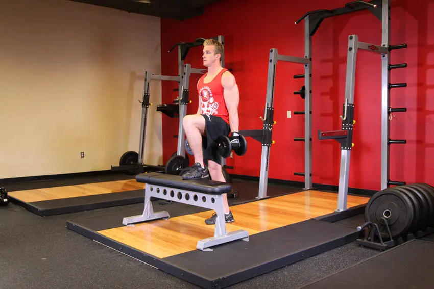 Dumbbell Step Ups — end position