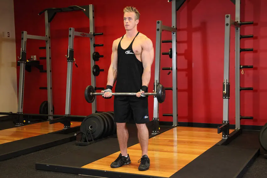 EZ-Bar Curl exercise