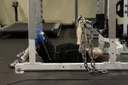 Floor Press with Chains exercise