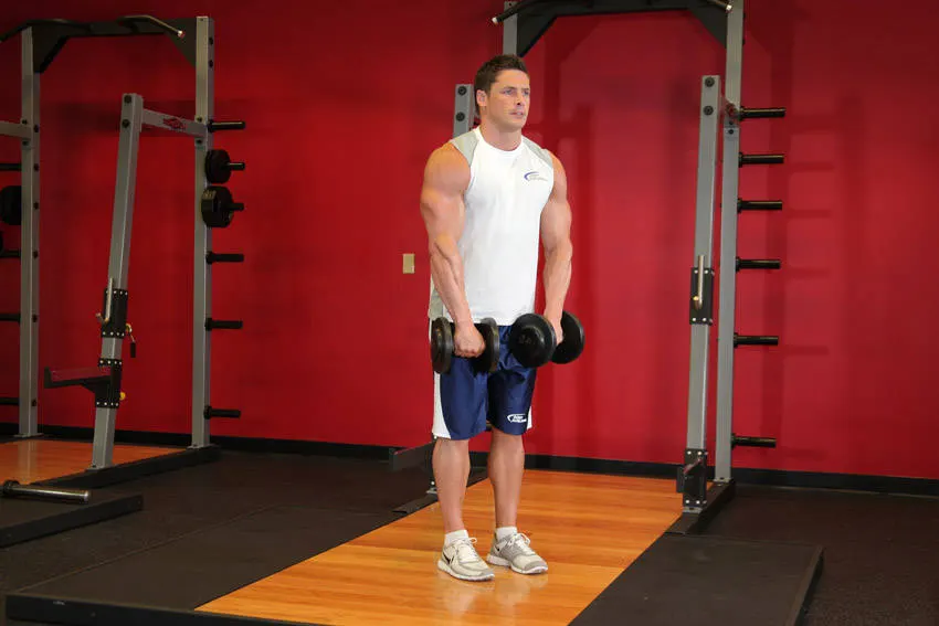 Front Dumbbell Raise exercise