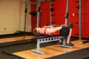 Front Raise And Pullover exercise