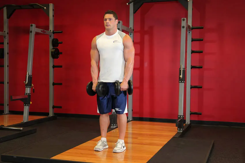 Front Two-Dumbbell Raise — starting position