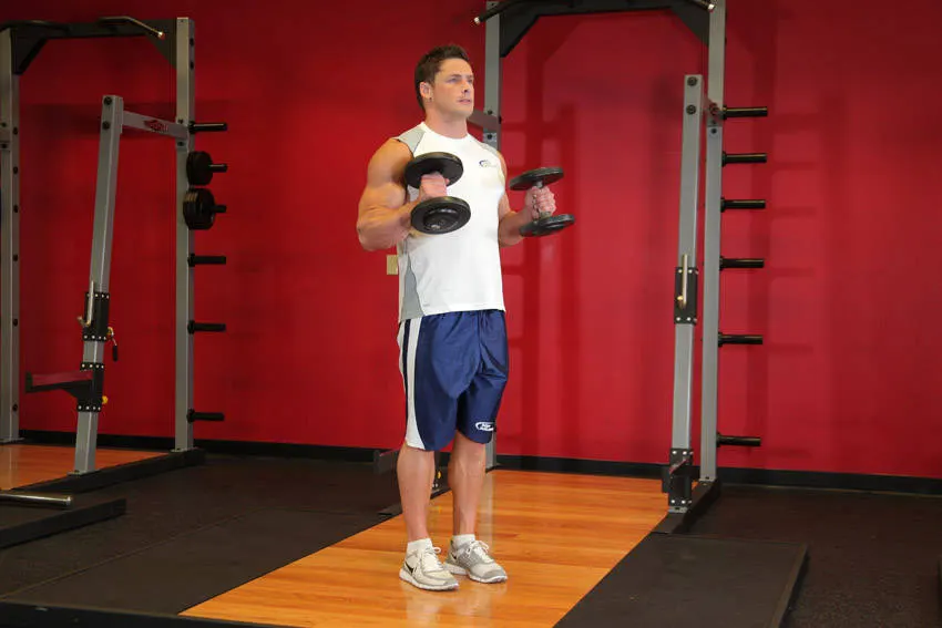 Hammer Curls — end position
