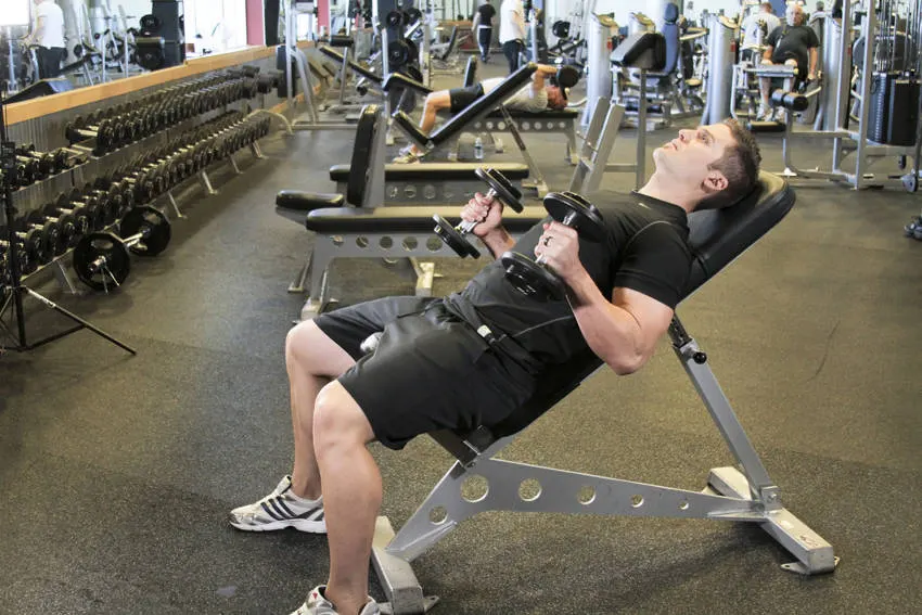 Incline Hammer Curls — end position