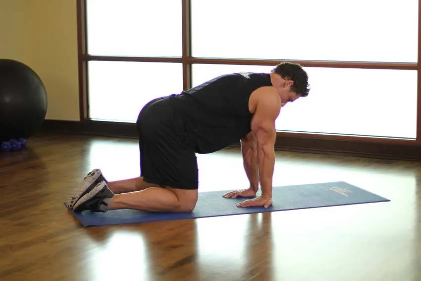 Kneeling Forearm Stretch exercise