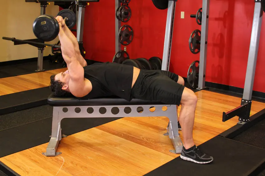 Lying Close-Grip Barbell Triceps Extension Behind The Head — end position