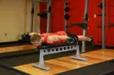 Lying Rear Delt Raise exercise