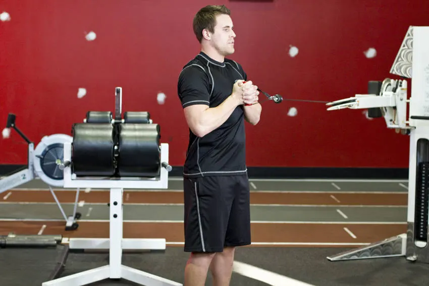 Pallof Press With Rotation exercise