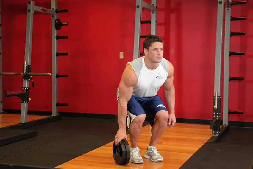 Plate Pinch exercise