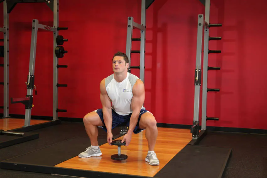 Plie Dumbbell Squat — end position