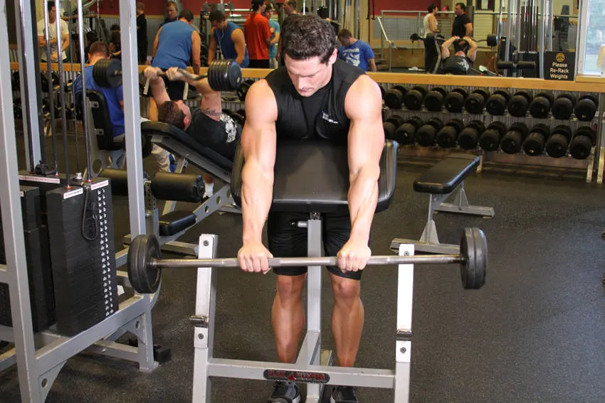 Reverse Barbell Preacher Curls exercise