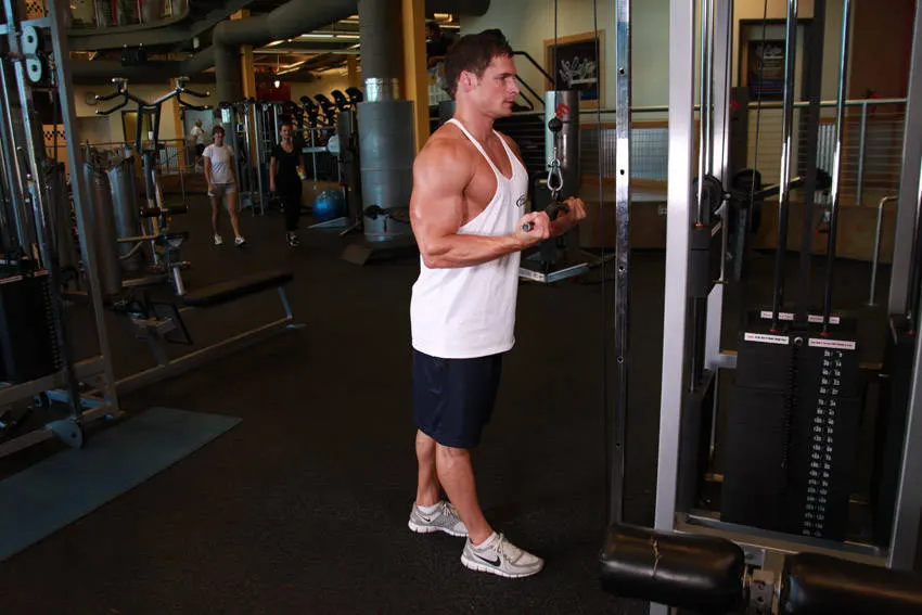 Reverse Grip Triceps Pushdown exercise