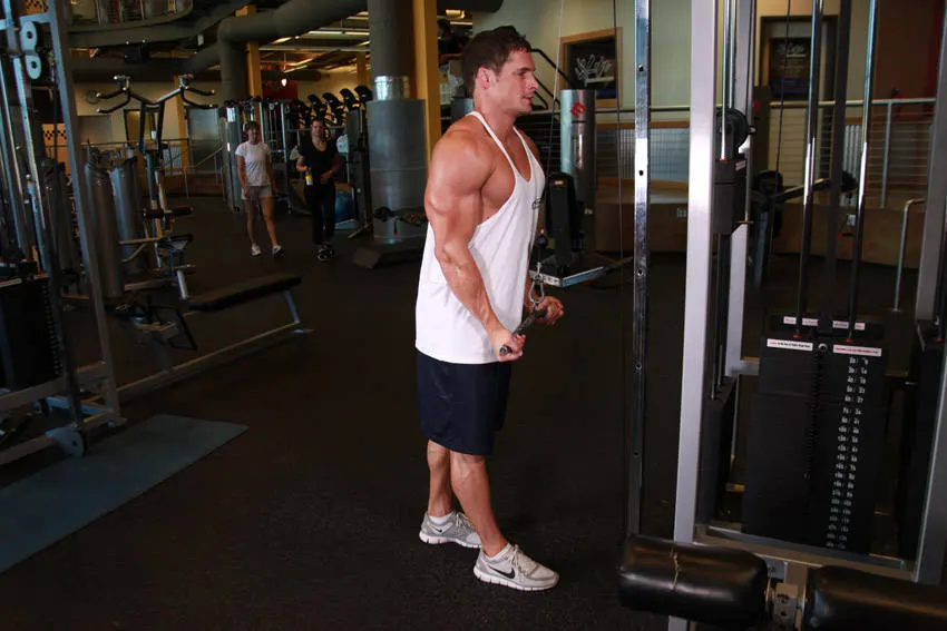 Reverse Grip Triceps Pushdown — end position