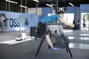 Reverse Hyperextension exercise