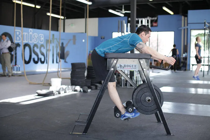 Reverse Hyperextension exercise