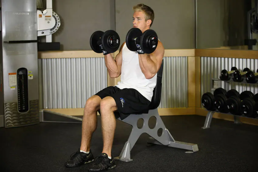 Seated Dumbbell Curl — end position