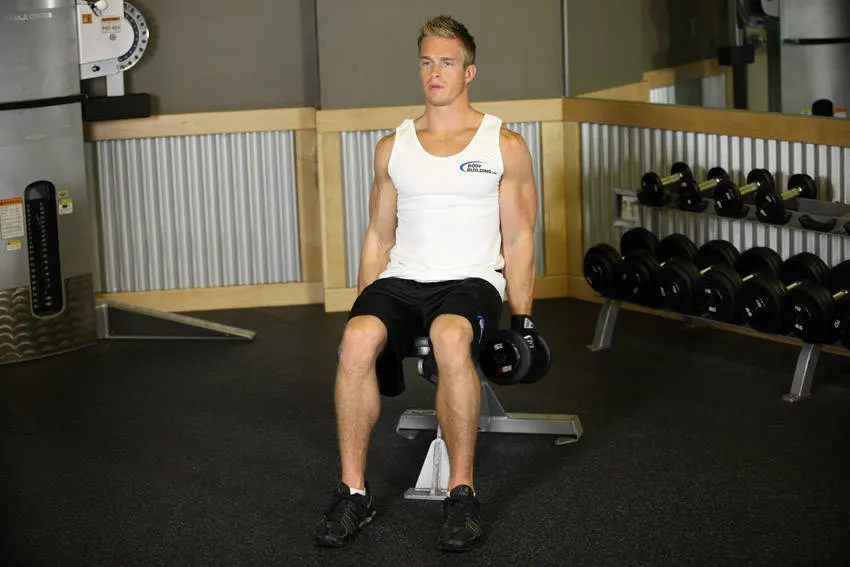 Seated Dumbbell Inner Biceps Curl exercise