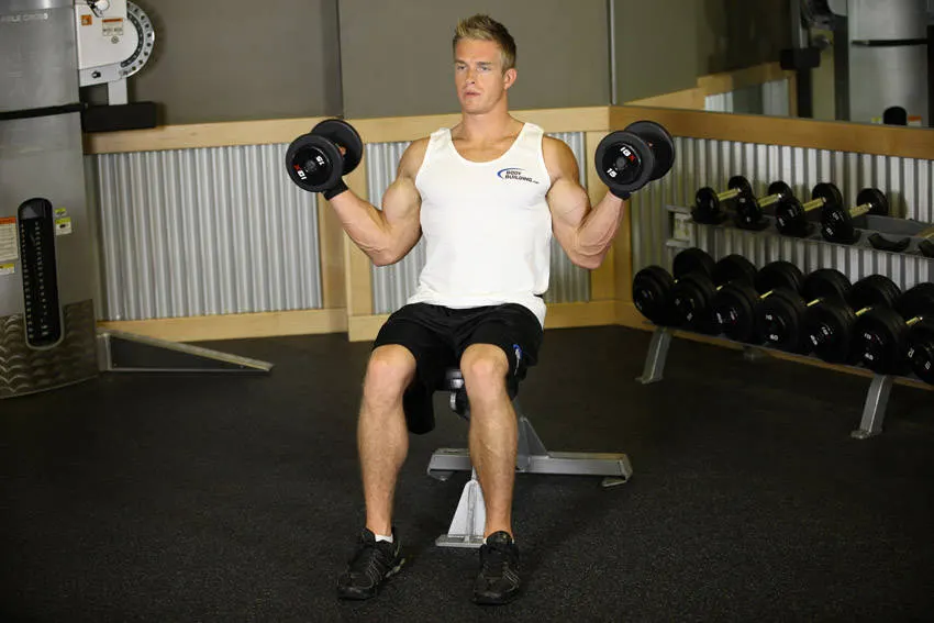 Seated Dumbbell Inner Biceps Curl — end position