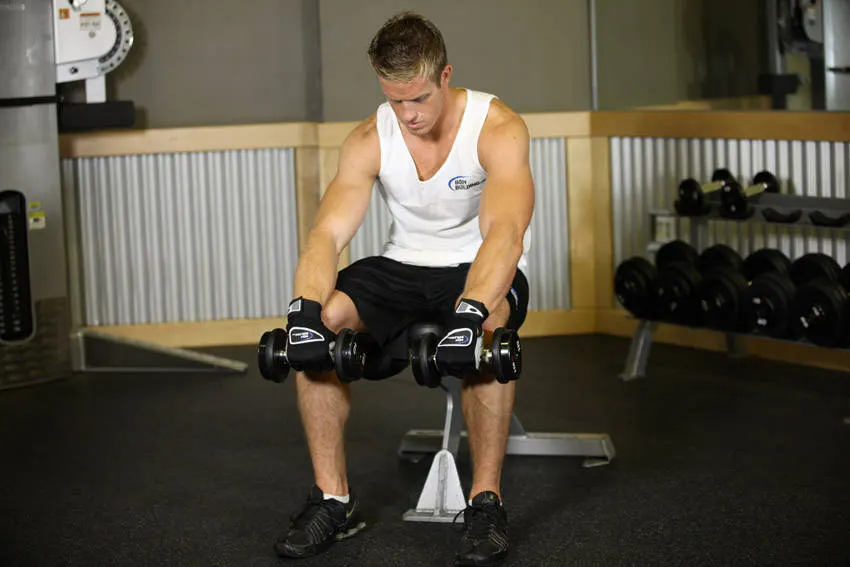 Seated Dumbbell Palms-Down Wrist Curl exercise