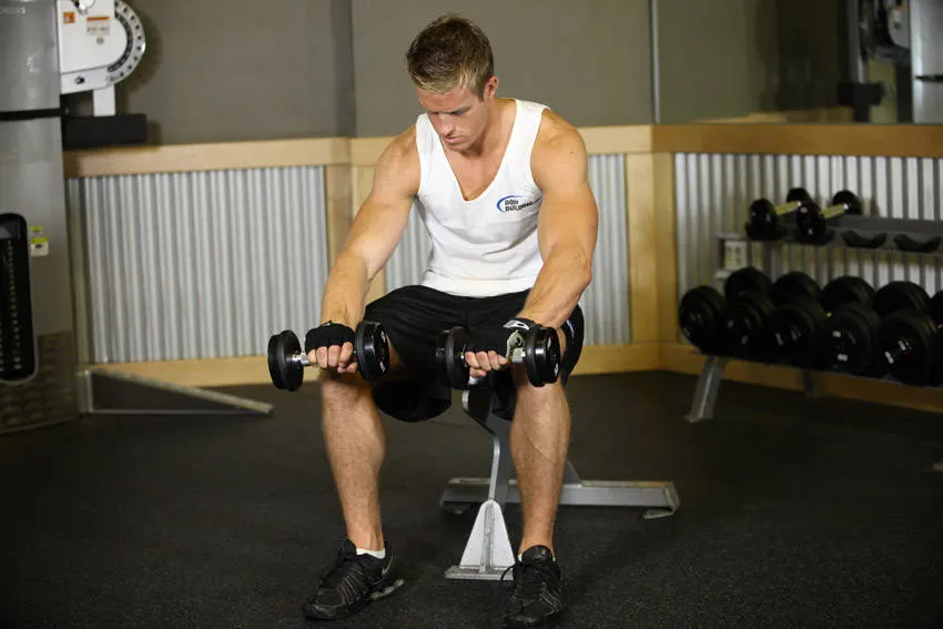 Seated Dumbbell Palms-Down Wrist Curl — end position